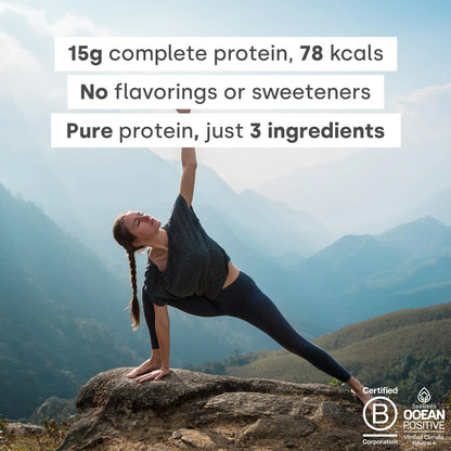 Pureblend Protein Proteína Vegana En Polvo Aminoácidos Esenciales Sin Azúcar