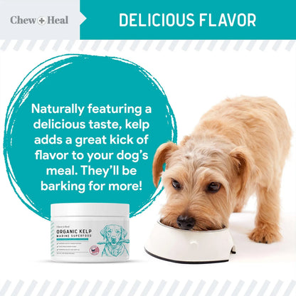 Polvo De Algas Marinas Para Perros 450g Suplemento Natural Para Piel Tiroides Y Dientes