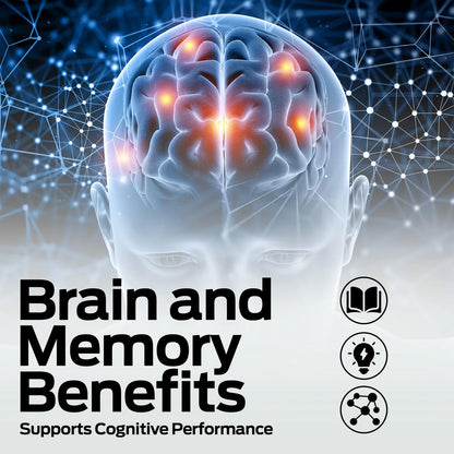Ultra Max Natural Organic 4 En 1 Suplemento Cerebral Memoria Concentracion Y Antienvejecimiento