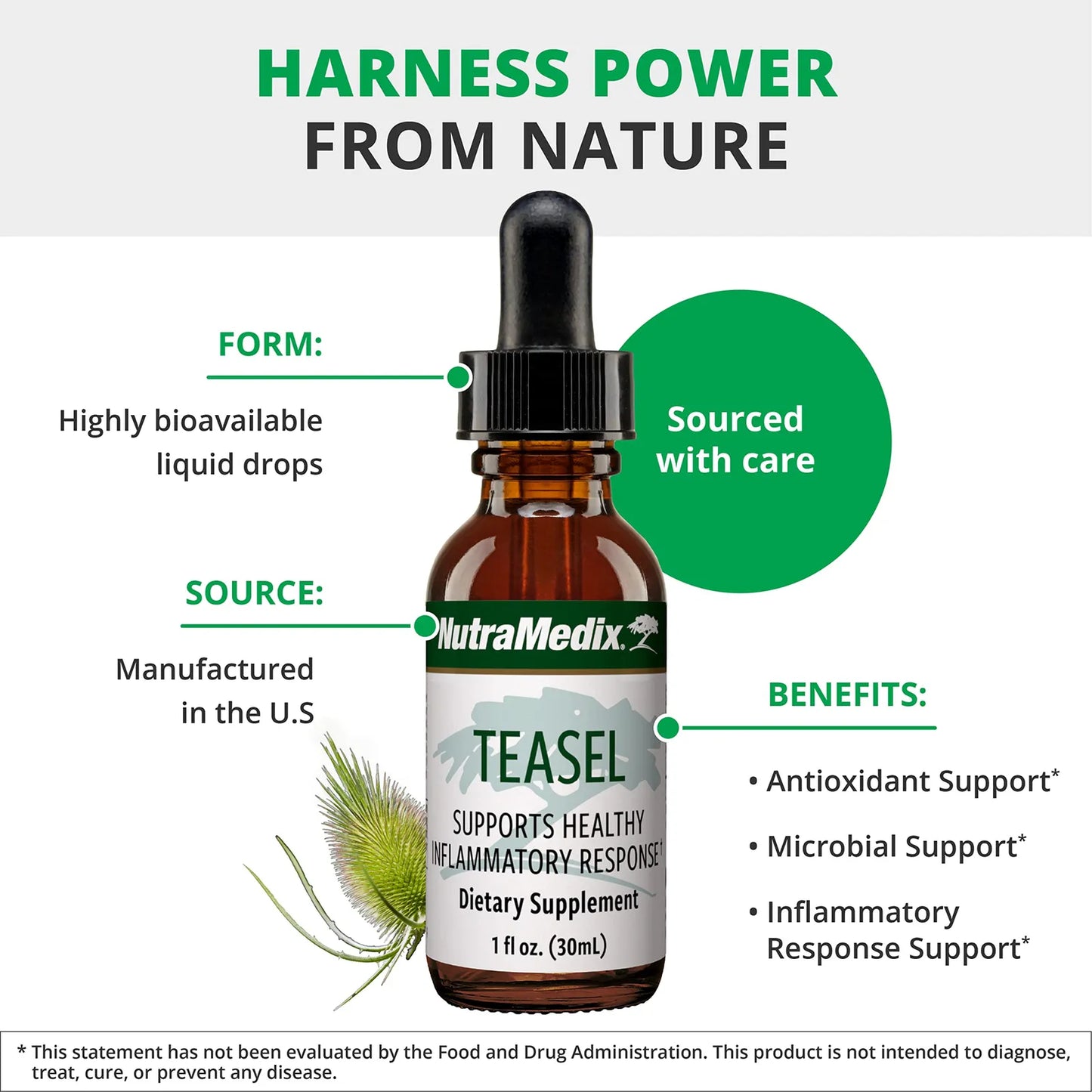 Extracto De Raiz De Teasel Gotas Antioxidantes Vegano 30 Ml