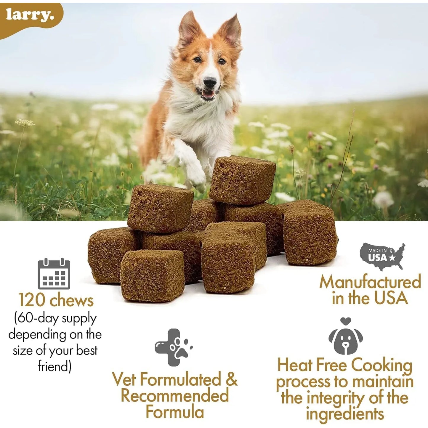 Multivitamínico 8 En 1 Para Perros Apoyo Digestivo Cardiaco Y Articulaciones