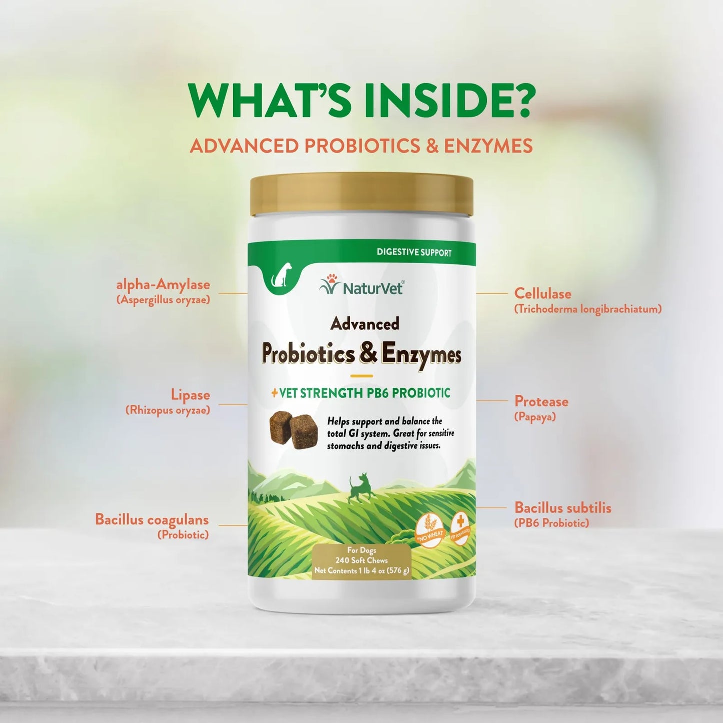 Probióticos Avanzados Y Enzimas PB6 Plus Vet Strength Para Perros Y Gatos 240 Masticables