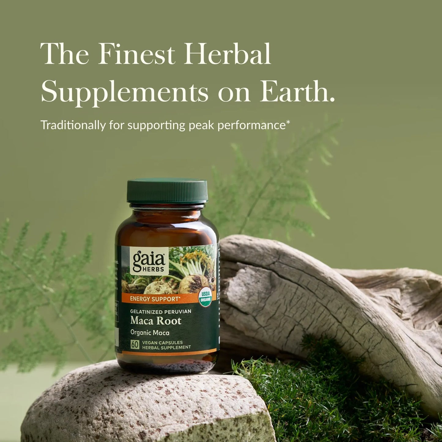 Raiz De Maca Organica Energia Natural Sin Cafeina 60 Capsulas Veganas