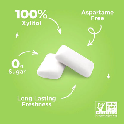 Chicles Pur Menta Fria 100 Xilitol Veganos 55 Unidades Sabor Refrescante Sin Azucar