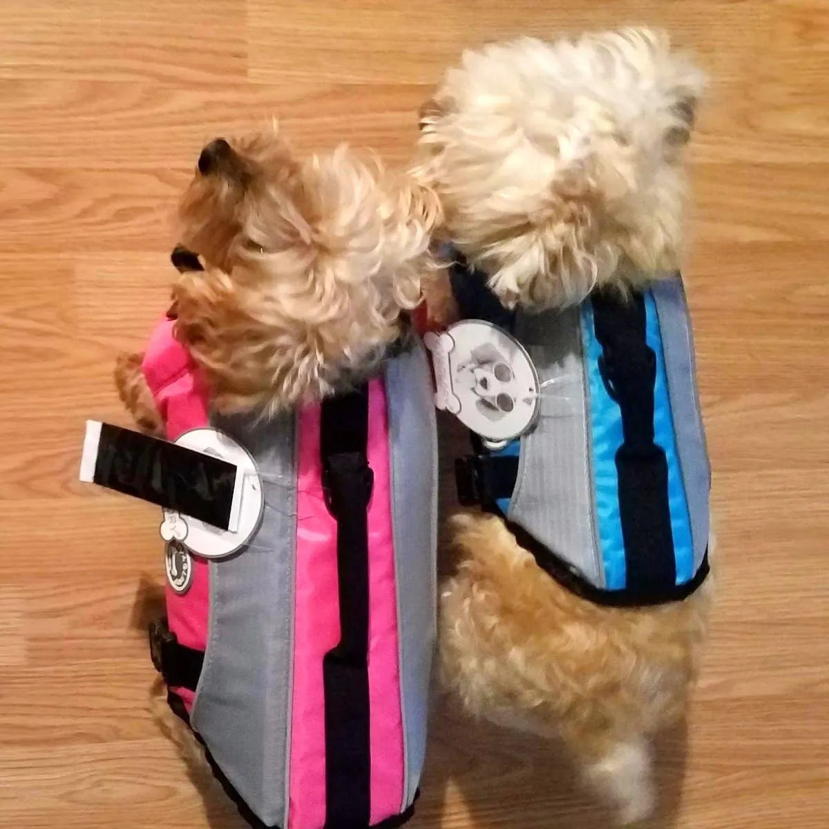 Chaleco Salvavidas Para Perros Con Acolchado Adicional Xs Seguro Y Comodo