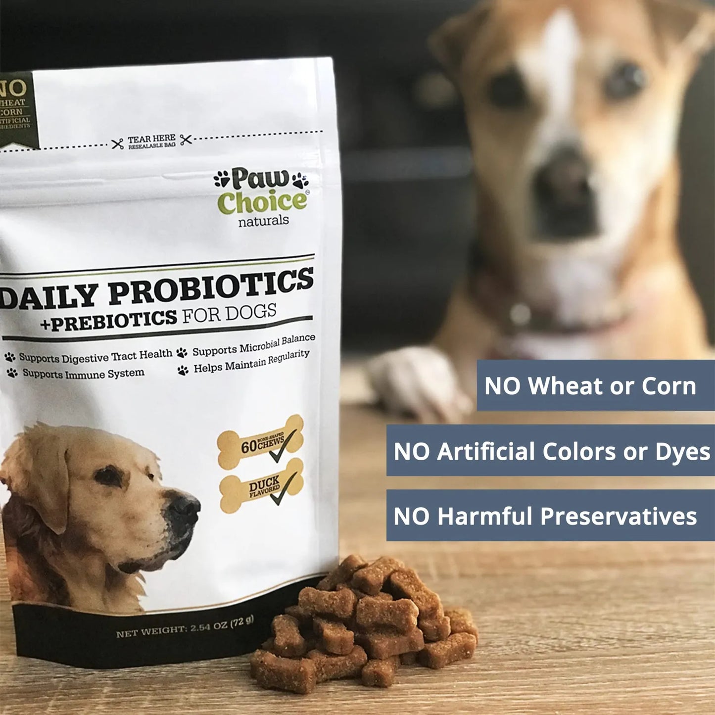 Masticables Probióticos Para Perros Con Prebióticos Salud Intestinal Y Digestión