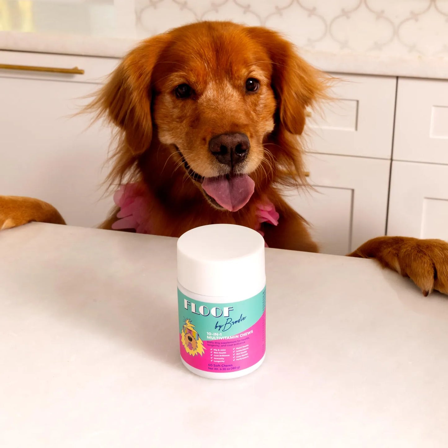 Multivitamina 10 En 1 Para Perros Y Cachorros Con Soporte Articular Y Cardiaco