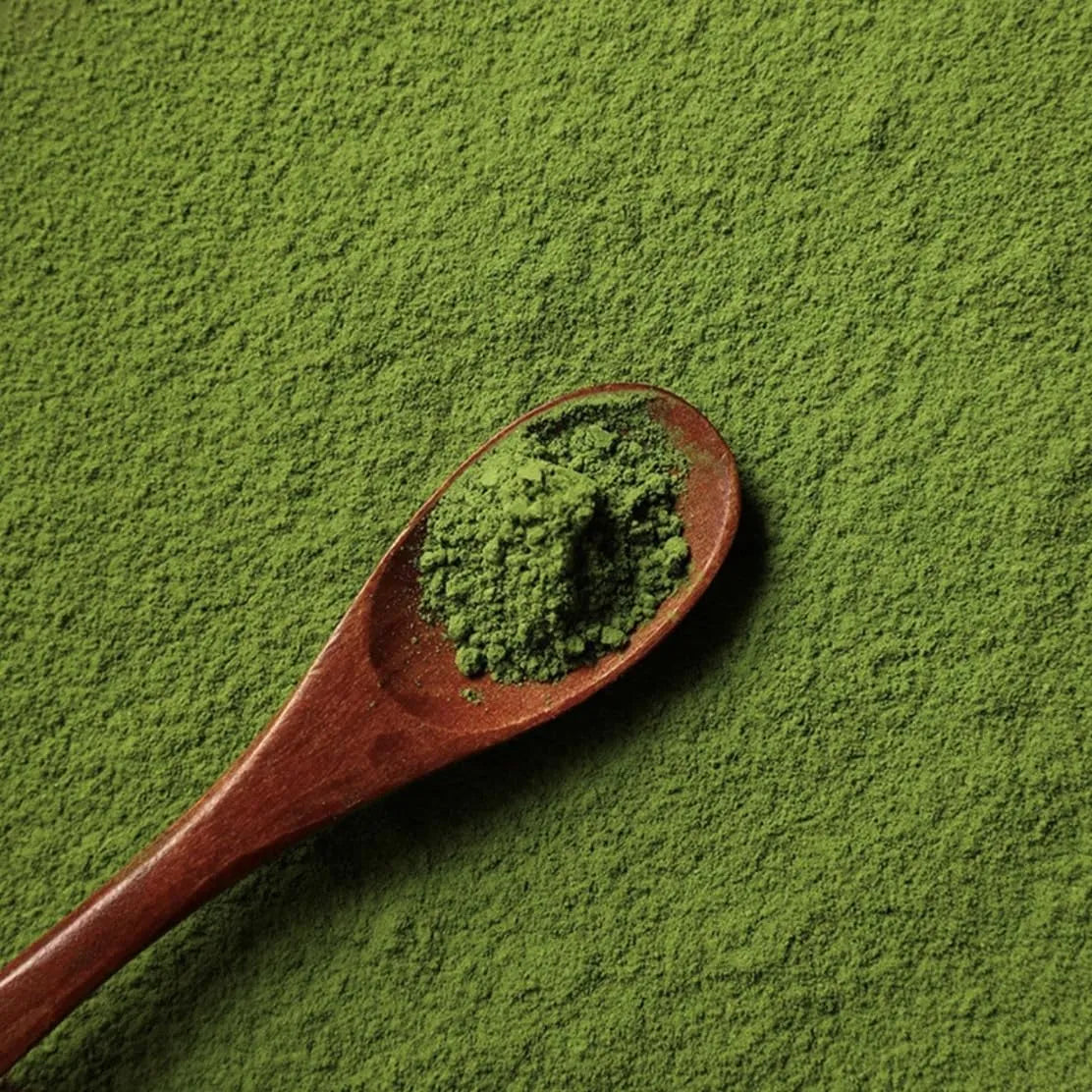 Polvo Matcha Orgánico Ceremonial De Primera Cosecha Auténtic