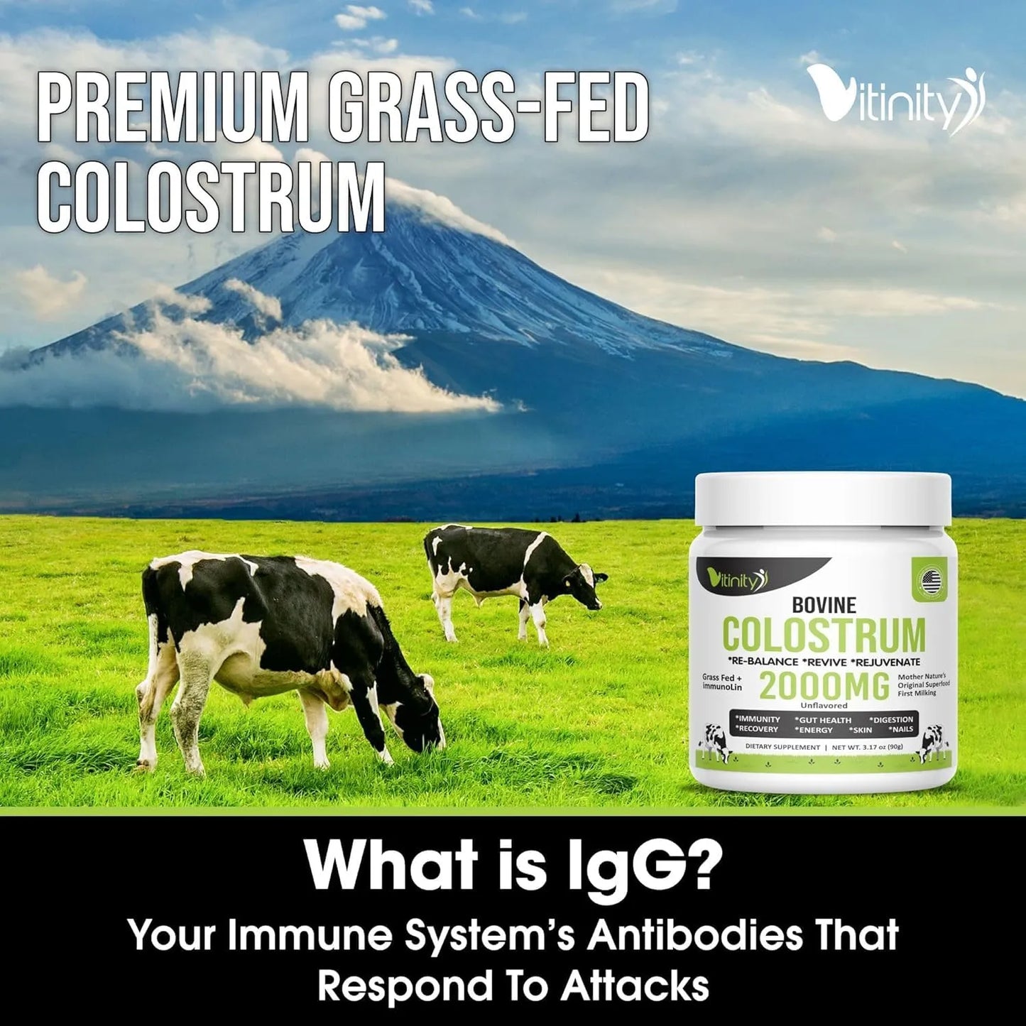Polvo De Calostro Bovino Natural Alimentado Con Pasto Suplemento IgG Para Salud Intestinal E Inmunológica