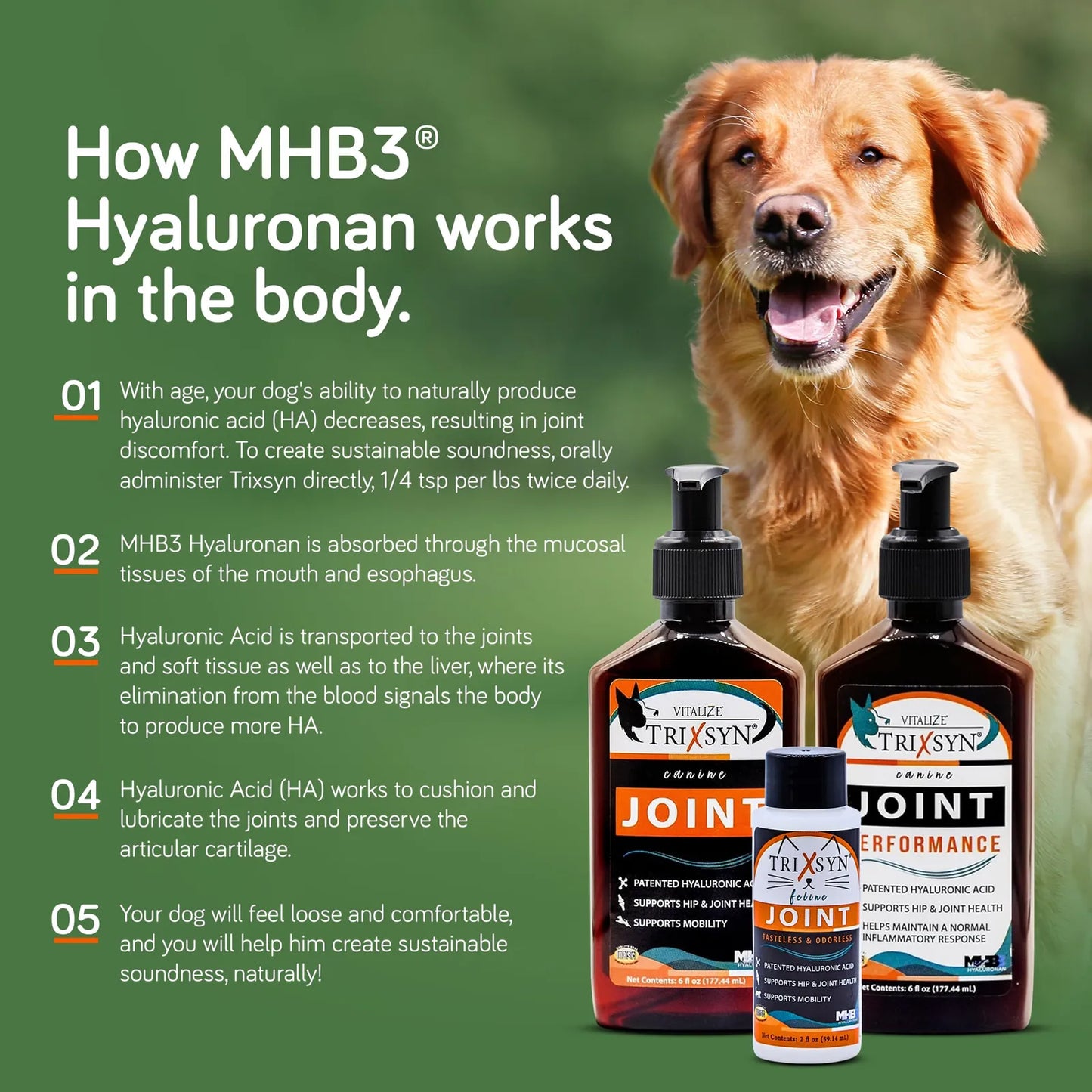 Cuidado Líquido Natural Para Caderas Y Articulaciones De Perros Mejora Movilidad Y Alivia Dolor