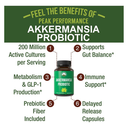 Probiótico Akkermansia Muciniphila Para Salud Intestinal Y Producción De GLP-1