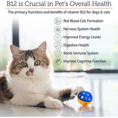 Vitamina B12 Para Perros Y Gatos Apoyo Digestivo Metabólico Y Nervioso