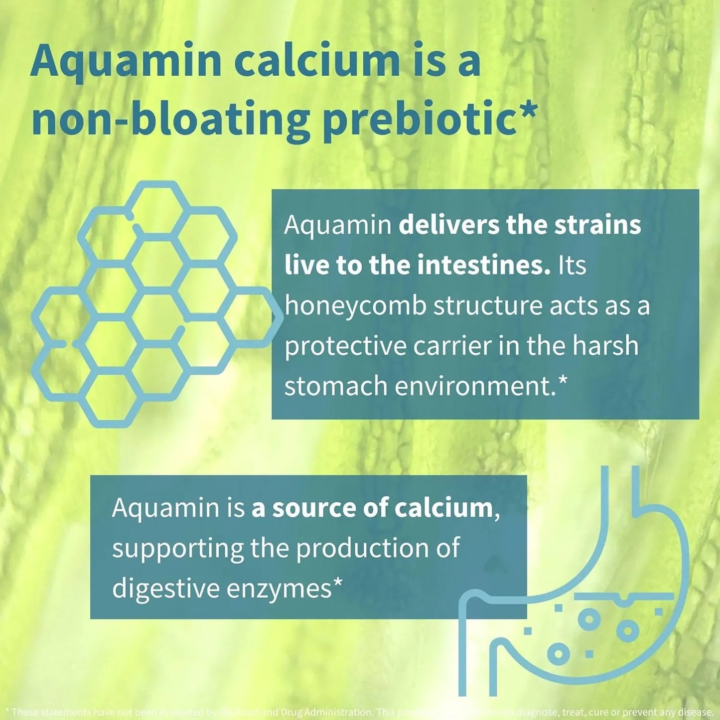 Probióticos Prebióticos 25 Mil Millones UFC Lactobacillus Acidophilus Salud Intestinal Vegano