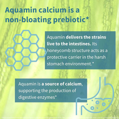 Probióticos Prebióticos 25 Mil Millones UFC Lactobacillus Acidophilus Salud Intestinal Vegano