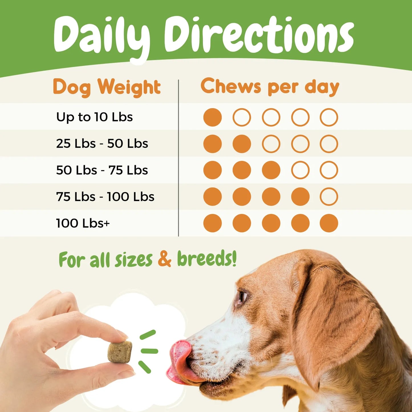 Probióticos Para Perros Con Enzimas Digestivas Salud Intestinal Y Soporte Inmunológico