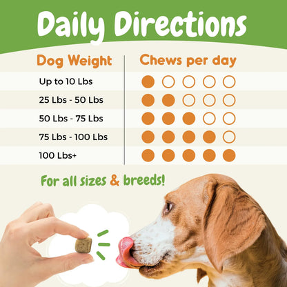 Probióticos Para Perros Con Enzimas Digestivas Salud Intestinal Y Soporte Inmunológico