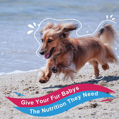 Vitaminas En Polvo Para Perros Probióticos Enzimas Digestivas Salud Articulaciones Piel