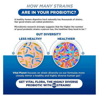 Vital Flora Probiótico Diario Adultos 55+ 60 Mil Millones UFC 60 Cepas Prebióticos