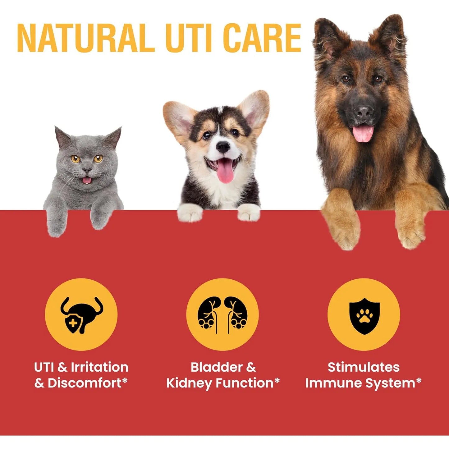 Tratamiento Infecciones Urinarias Gatos Perros Arándano Special Breed 4 Onzas