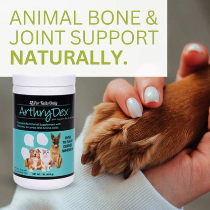 Arthrydex Suplemento Nutricional Vitaminas Probióticas Para Mascotas Huesos Y Articulaciones 1 Libra X 4
