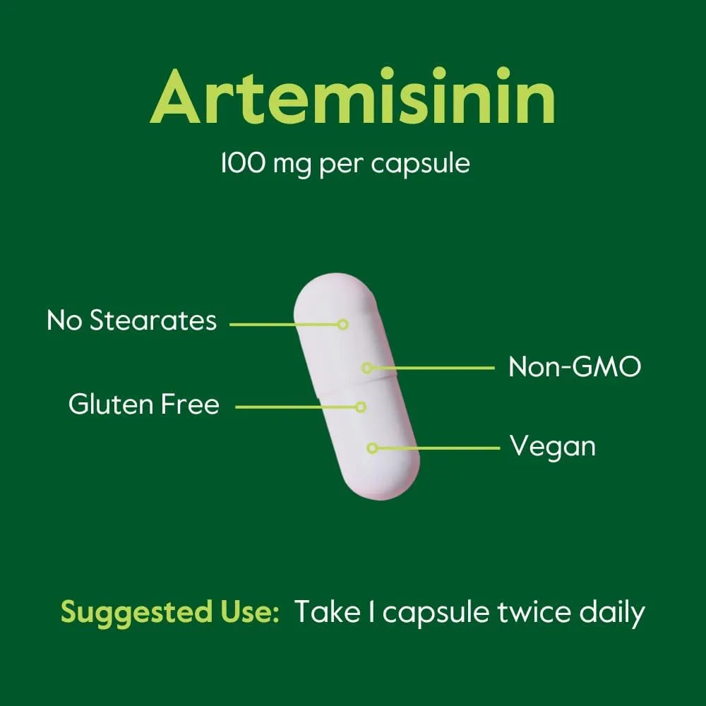 Artemisinina 100 Mg 240 Capsulas Vegano Sin Gluten Bestvite