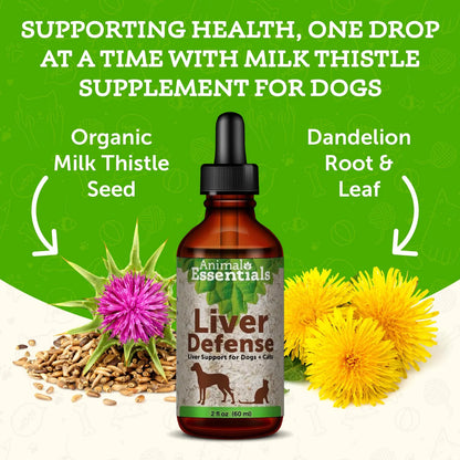 Liver Defense Soporte Hepático Para Perros Y Gatos 60ml Promueve Función Hepática Saludable