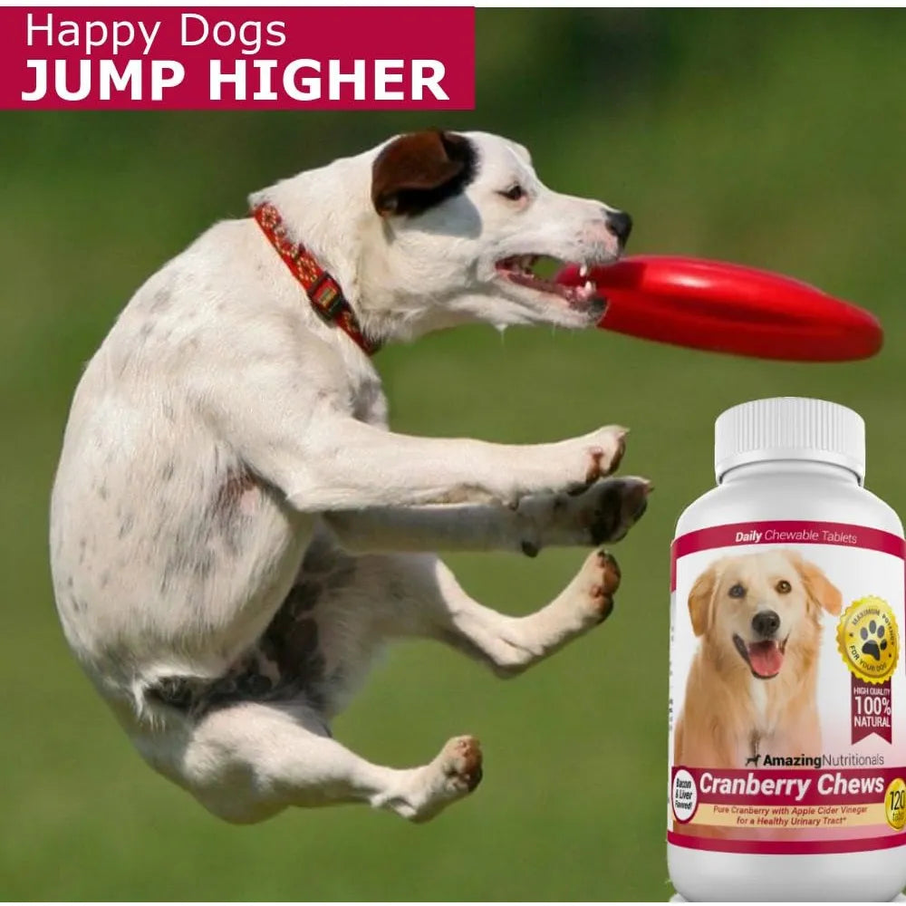 Suplemento Arándano Antioxidante Para Perros 120 Masticables Soporte Tracto Urinario