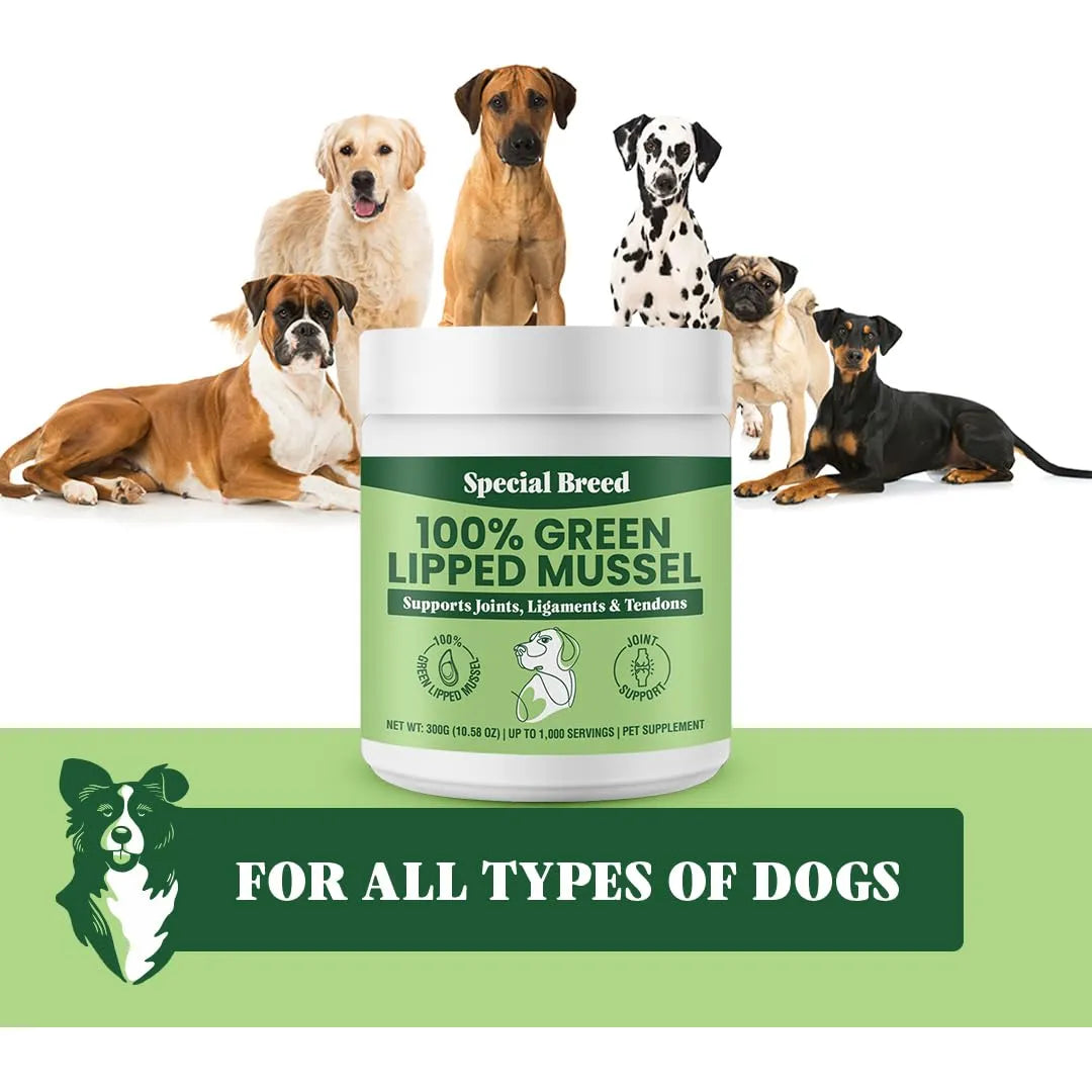 Polvo De Mejillones Labios Verdes Para Articulaciones De Perros Y Gatos 300g Importado