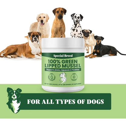 Polvo De Mejillones Labios Verdes Para Articulaciones De Perros Y Gatos 300g Importado