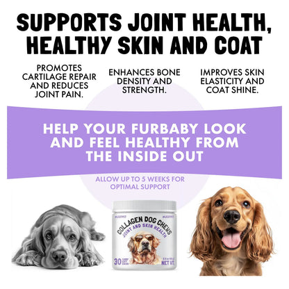 Masticables De Colágeno Para Perros Salud Articulaciones Y Piel 30 Uni Importado