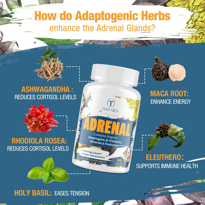 Suplemento Adaptogeno Rhodiola Ashwagandha Soporte Suprarrenal Energia 120 Caps