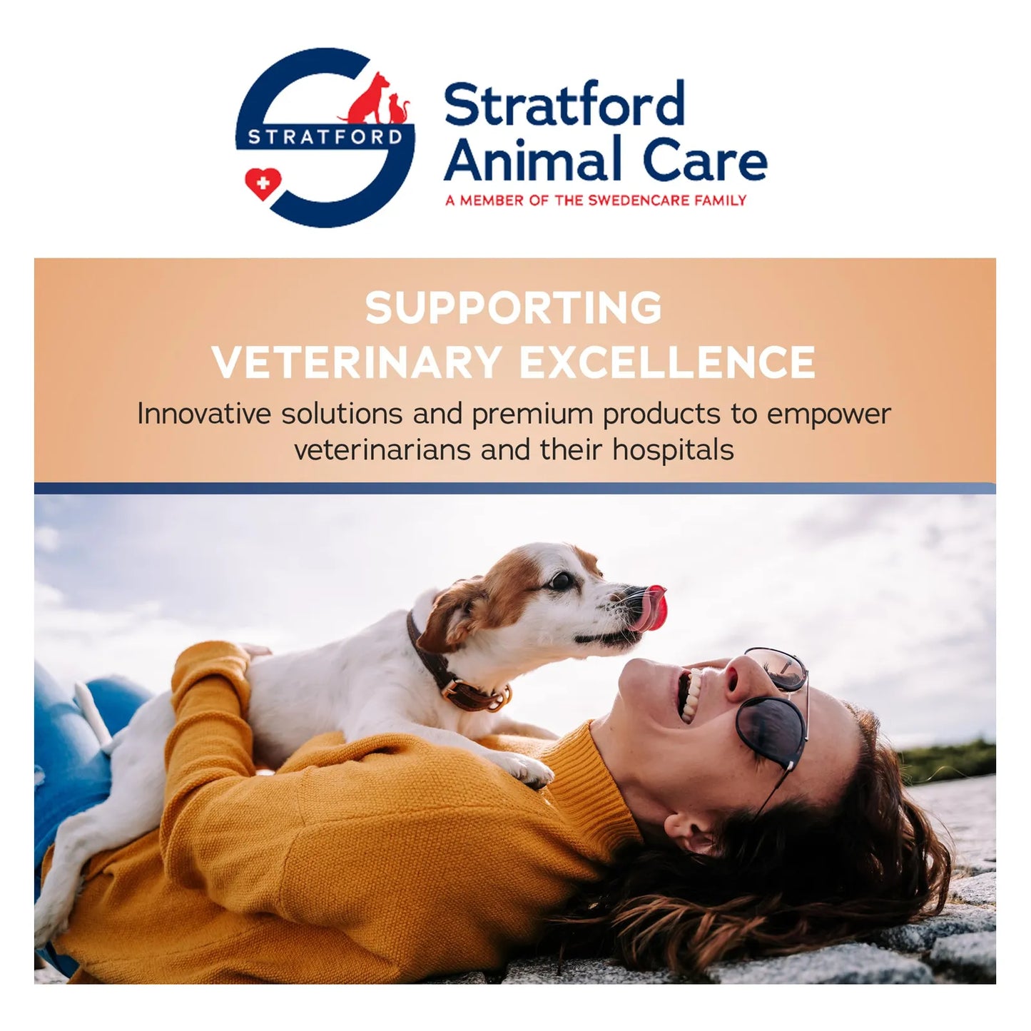 Masticables Suaves Para Perros Pequeños Con Glucosamina Condroitina MSM Alivio Articular 60 Unidades