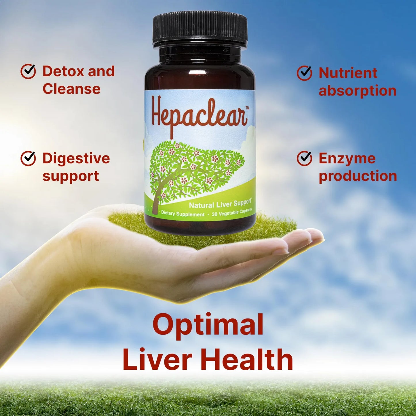 Suplemento Natural De Apoyo Hepático Con Hesperidina Vegano Sin Gluten