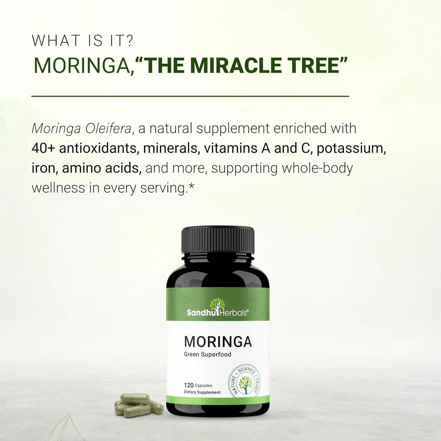 Capsulas De Moringa Oleifera 120 Unidades Antioxidante Natural Sandhu Herbals
