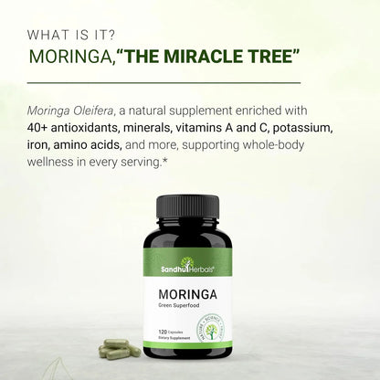 Capsulas De Moringa Oleifera 120 Unidades Antioxidante Natural Sandhu Herbals