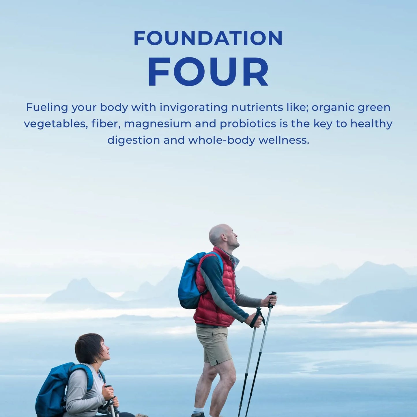 Bebida Four Greens Probióticos Magnesio Sabor Fresa Energía Y Digestión