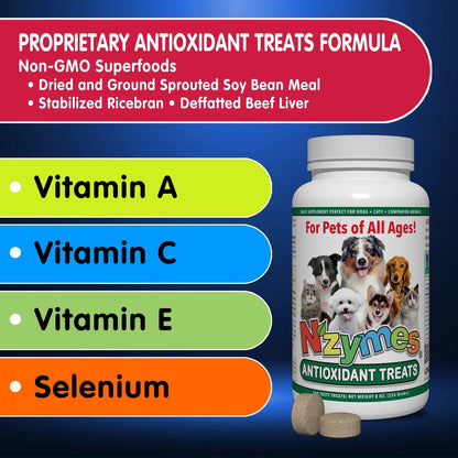 Golosinas Antioxidantes Para Perros Pequeños Salud Articular Y Piel