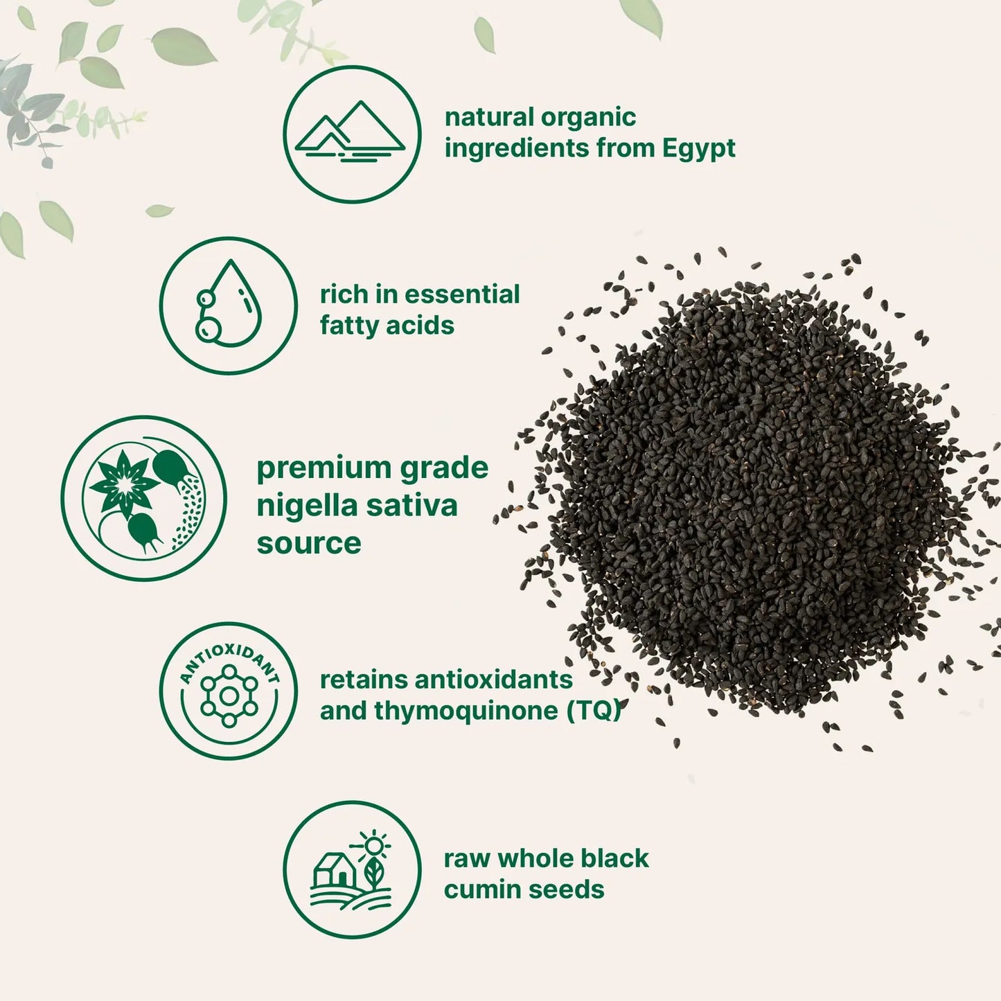 Semilla De Comino Negro Orgánico Nigella Sativa 2 Lb Premium Egipto