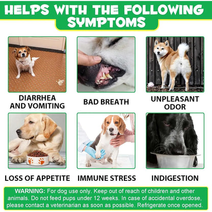 Golosinas Masticables Probióticas Para Perros 120 Unidades Salud Digestiva
