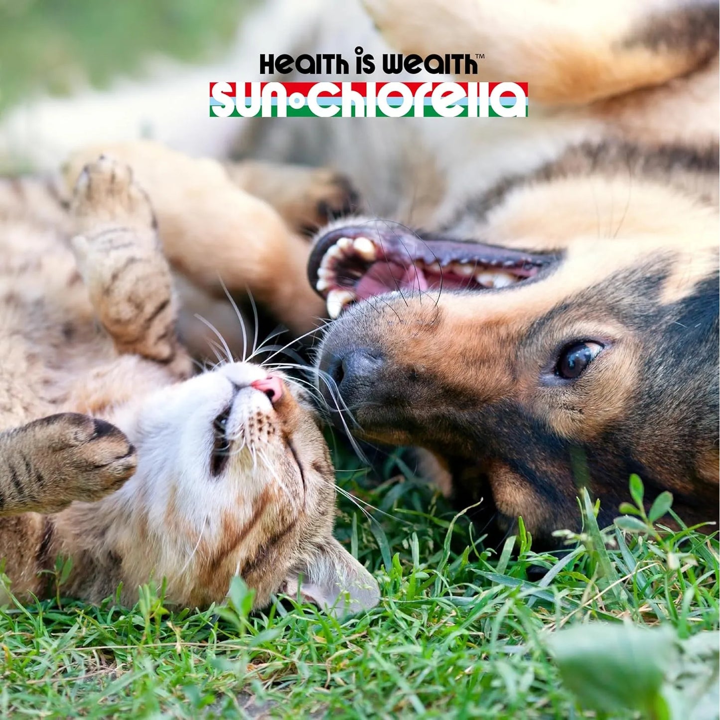 Delicias Verdes Superalimento Para Perros Y Gatos Clorofila Energía Y Salud