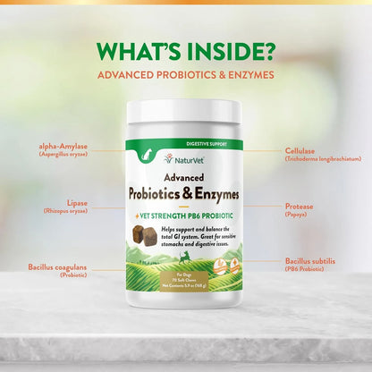 Probióticos Y Enzimas Masticables Para Perros Mejora Digestión Y Salud Intestinal