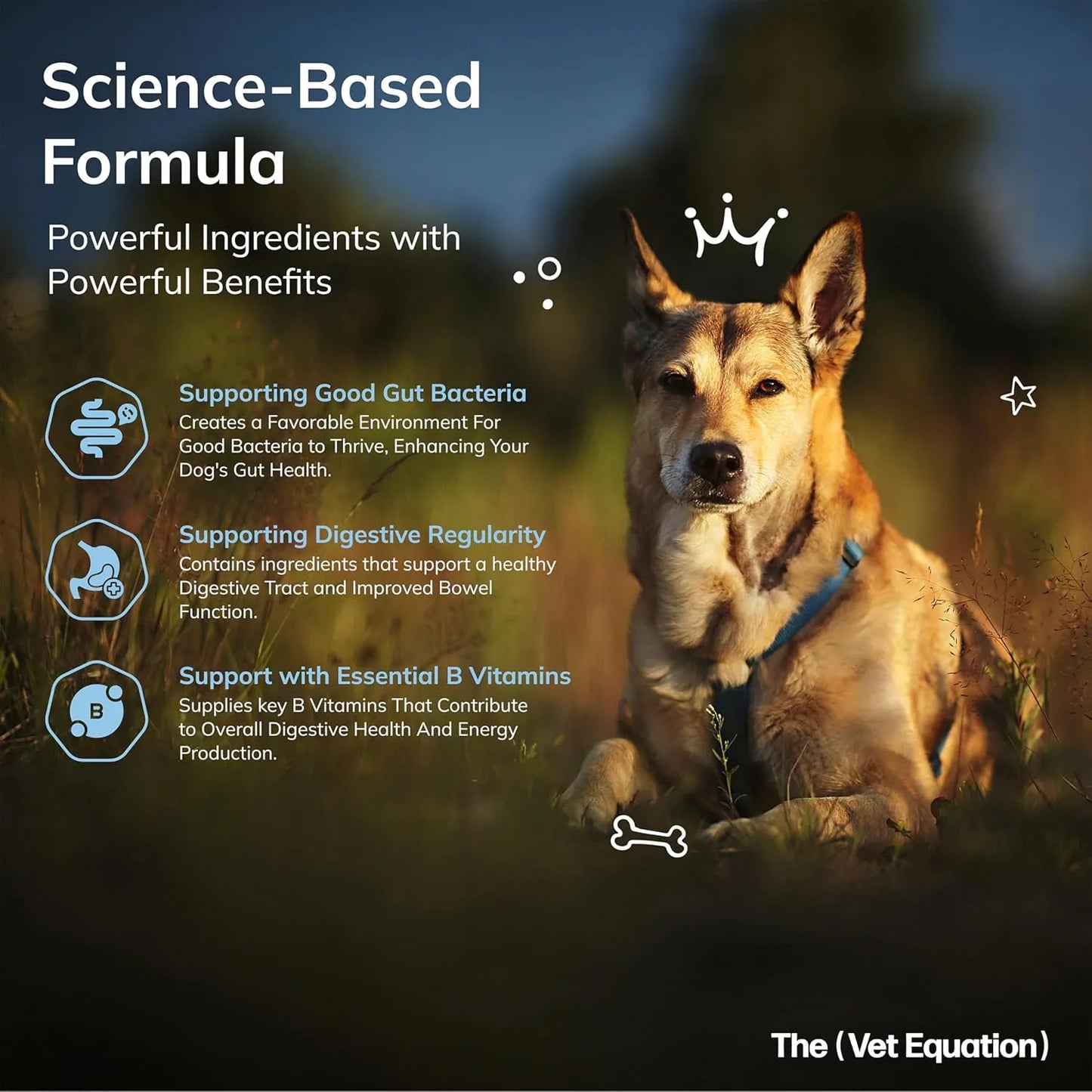 Masticables Naturales Para Perros Salud Digestiva Sabor Pato 90 Unidades