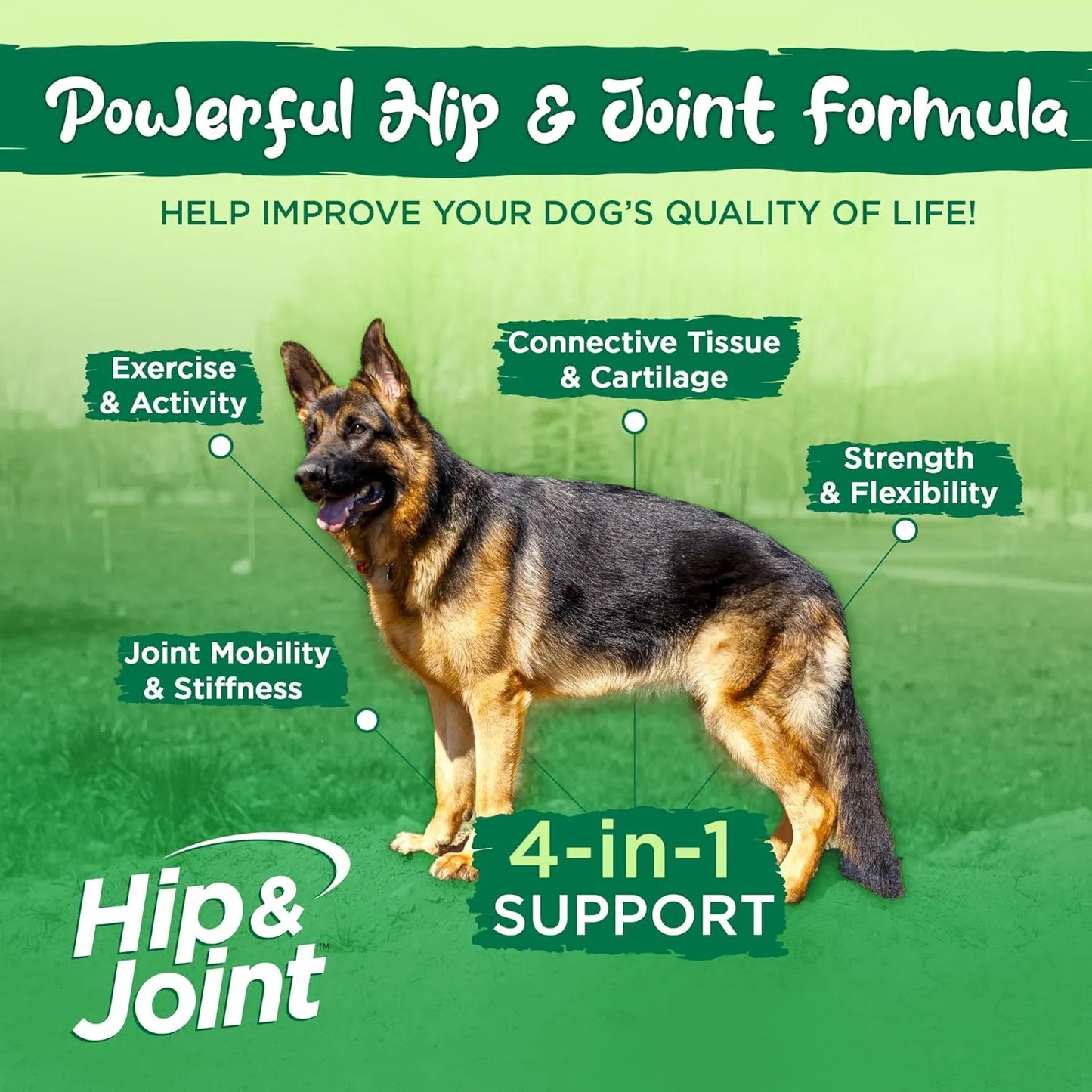 Suplemento En Polvo Apoyo Cadera Articulaciones Perros Glucosamina Curcuma Vital Planet