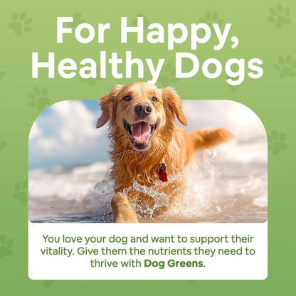 Multivitamínico En Polvo Superfood Para Perros Con Algas Org