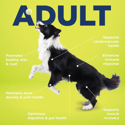 Suplemento Multifuncional Para Perros Con Enzimas Digestivas Glucosamina Y Vitaminas