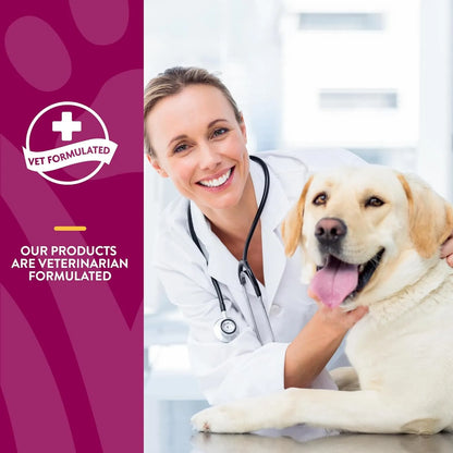 NaturVet ArthriSoothe Gold Nivel 3 Suplemento Articular Para Perros Y Gatos Con MSM Y Glucosamina