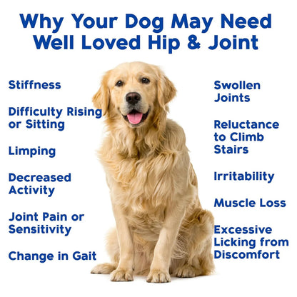 Glucosamina Articular Para Perros 300 Mg Suplemento Veterinario USA