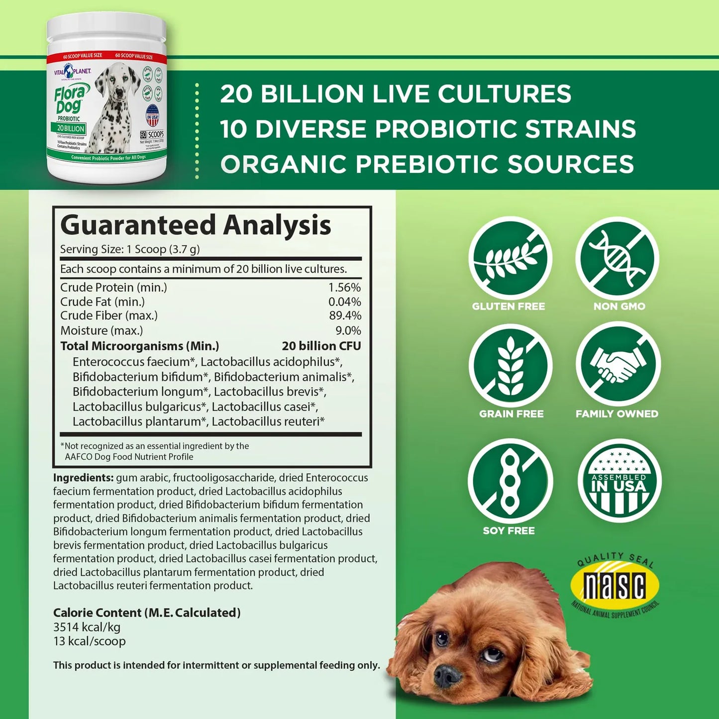 Probiótico En Polvo Para Perros 20 Mil Millones Cultivos 10 Cepas Flora Dog