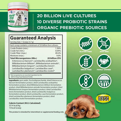Probiótico En Polvo Para Perros 20 Mil Millones Cultivos 10 Cepas Flora Dog