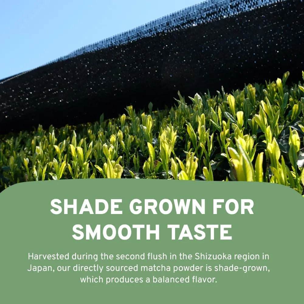 Matcha Orgánico Japonés Premium 100 Porciones Energía Natural Antioxidantes